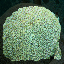 layer2-490
