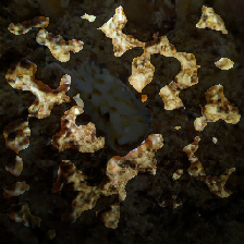 layer3-124