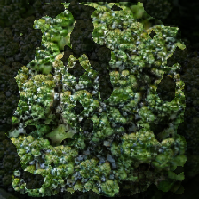 layer2-155