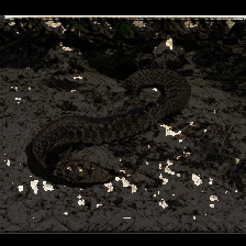 layer4-170