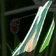 layer2-686