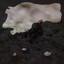 layer2-688