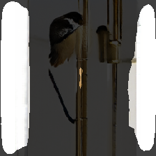 layer2-689