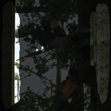 layer2-689