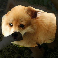 layer2-691