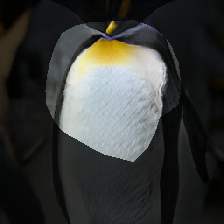 layer1-516