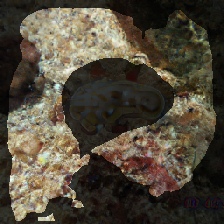 layer2-693