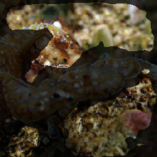 layer2-693