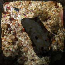 layer2-693