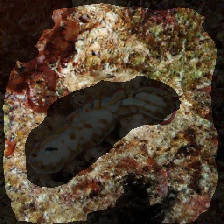layer2-693