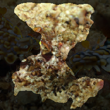 layer2-693