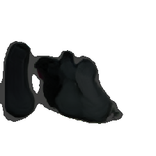 layer5-4