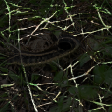 layer5-7