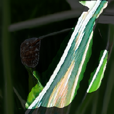 layer2-156