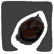 layer5-16