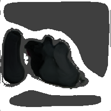 layer5-16