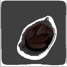 layer5-21