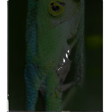 layer5-22