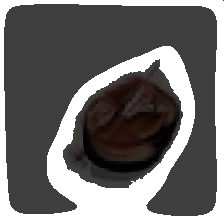layer5-24