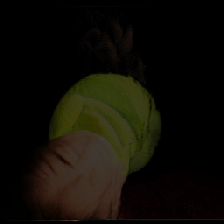 layer5-28