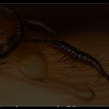 layer5-28