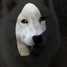 layer0-861