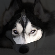 layer0-861
