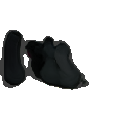 layer5-34