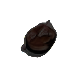 layer5-40