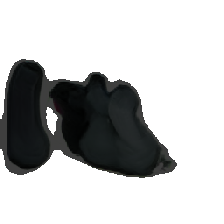 layer5-40