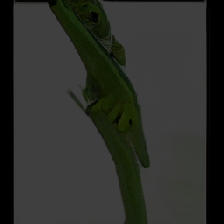 layer5-45
