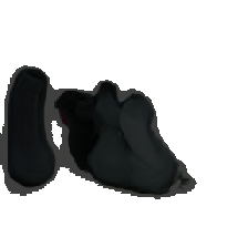 layer5-46