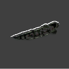 layer5-50