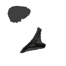 layer5-52