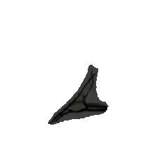 layer5-54