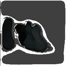 layer5-55