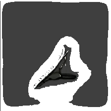 layer5-55