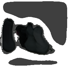layer5-57