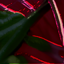 layer5-61