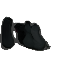 layer5-63