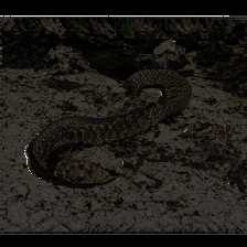 layer5-65