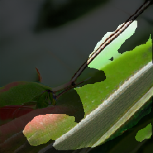 layer2-157