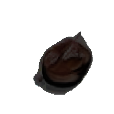 layer5-73