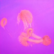 layer5-76