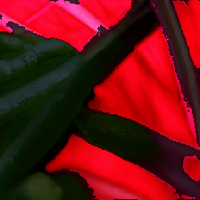 layer5-79