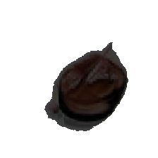 layer5-89