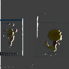 layer5-94