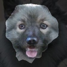 layer1-467