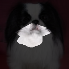 layer1-520