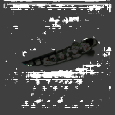 layer4-19